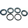 Set de rulmenți pentru roți  MOOSE RACING BEARING KIT Wheel Suzuki LT-R 450 06-11