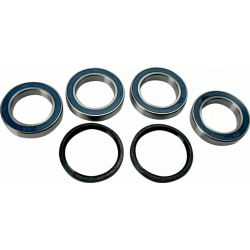 Set de rulmenți pentru roți MOOSE RACING BEARING KIT Wheel Suzuki LT-R 450 06-11 Set de rulmenți pentru roți MOOSE RACING BEARING KIT Wheel Suzuki LT-R 450 06-11