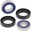Rulmenți pentru janta față  MOOSE RACING BEARING KT Wheel Front Yamaha YFZ 50 17-25 thumb