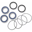 Rulmenți pentru roata din spate MOOSE RACING BEARING REAR WHEEL TRX450R Rulmenți pentru roata din spate MOOSE RACING BEARING REAR WHEEL TRX450R thumb