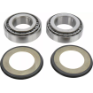 Rulmenți pentru volan MOOSE RACING BEARING STEERING STEM GASGAS Rulmenți pentru volan MOOSE RACING BEARING STEERING STEM GASGAS thumb