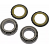 Rulmenți pentru volan  MOOSE RACING BEARING STEERING STEM HONDA CRF 250R 2018