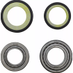 Rulmenți pentru volan MOOSE RACING BEARING STEERING STEM KAWASAKI KLX 110 Rulmenți pentru volan MOOSE RACING BEARING STEERING STEM KAWASAKI KLX 110 thumb