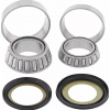 Rulmenți pentru volan MOOSE RACING BEARING STEERING STEM-YAMAHA TT-R