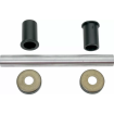 Rulmenți pentru balame MOOSE RACING BEARING-SEAL A-ARM/SWGARM thumb