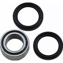 Rulmenți pentru roata din spate MOOSE RACING RULMENȚI ROȚI DINAPOI-TRX RINCON