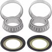 Rulmenți pentru ghidon MOOSE RACING BEARING STEERING STEM-HONDA CR/CRF Rulmenți pentru ghidon MOOSE RACING BEARING STEERING STEM-HONDA CR/CRF thumb
