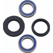 Rulmenți pentru ghidon MOOSE RACING BEARING WHEEL FRONT-HUSKY Rulmenți pentru ghidon MOOSE RACING BEARING WHEEL FRONT-HUSKY thumb