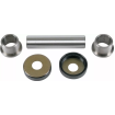 Kit reparatie articulatie bascula moto MOOSE RACING KINGPIN-KITTRX90/125 Kit reparatie articulatie bascula moto MOOSE RACING KINGPIN-KITTRX90/125 thumb