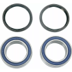 Rulmenți pentru jante MOOSE RACING MOOSE WHL BRG KIT thumb
