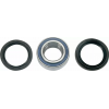 Rulmenți pentru jante MOOSE RACING MOOSE WHL BRG KIT Artic cat 250 400