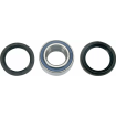 Rulmenți pentru jante MOOSE RACING MOOSE WHL BRG KIT Artic cat 250 400 Rulmenți pentru jante MOOSE RACING MOOSE WHL BRG KIT Artic cat 250 400 thumb