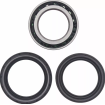 Rulmenți dublu conici cu contact unghiular MOOSE RACING WHEELBEARING TAPERED DAC Rulmenți dublu conici cu contact unghiular MOOSE RACING WHEELBEARING TAPERED DAC thumb