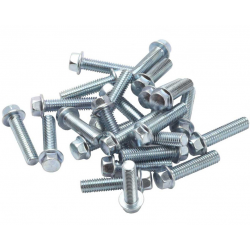 Kit de șuruburi cu cap flanșă RFX M6 Flange Head Bolt Pack M6 x 25mm - 25 pieces Kit de șuruburi cu cap flanșă RFX M6 Flange Head Bolt Pack M6 x 25mm - 25 pieces