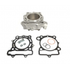 Kit cilindru ATHENA Kawasaki KX250F 09-10