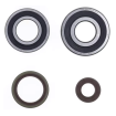Set rulmenți și simeringuri arbore cotit ATHENA Gas Gas EC200 08-11/14-17, EC250/300 08-18 Set rulmenți și simeringuri arbore cotit ATHENA Gas Gas EC200 08-11/14-17, EC250/300 08-18 thumb