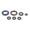 Kit simeringuri ulei ATHENA KTM EXC/SX Racing 00-06; Beta RR400/450/525 05-09 Kit simeringuri ulei ATHENA KTM EXC/SX Racing 00-06; Beta RR400/450/525 05-09 thumb
