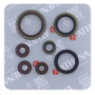 Set simeringuri ulei ATHENA Sherco SE250-300 Factory 14-25, SE-R 250-300 14-20 Set simeringuri ulei ATHENA Sherco SE250-300 Factory 14-25, SE-R 250-300 14-20 thumb