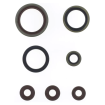 Set simeringuri ulei ATHENA Sherco SE250-300 Factory 14-25, SE-R 250-300 14-20 Set simeringuri ulei ATHENA Sherco SE250-300 Factory 14-25, SE-R 250-300 14-20 thumb