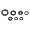 Kit simeringuri de ulei ATHENA Yamaha WR250F 01-13, YZ250F 01-13; Gas Gas EC250F/ EC300F 13-15 Kit simeringuri de ulei ATHENA Yamaha WR250F 01-13, YZ250F 01-13; Gas Gas EC250F/ EC300F 13-15 thumb