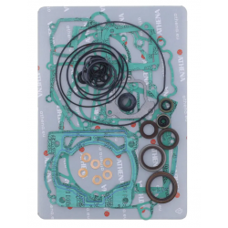 Set complet de garnituri ATHENA Beta RR250/300 2T 13-25