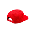 Șapcă TROY LEE DESIGNS Curved Snapback Stamp - RED thumb