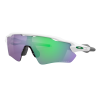 Ochelari OAKLEY Radar EV Path Pol Wht cu PRIZM Jade