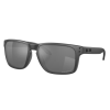 Ochelari OAKLEY Holbrook XL Steel w/ Prizm Black Polar