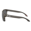 Ochelari OAKLEY Holbrook XL Woodgrain w/Prizm Black Plr thumb