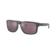 Ochelari OAKLEY Holbrook Steel w/ PRIZM Daily Polar Ochelari OAKLEY Holbrook Steel w/ PRIZM Daily Polar thumb