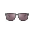 Ochelari OAKLEY Holbrook Steel w/ PRIZM Daily Polar Ochelari OAKLEY Holbrook Steel w/ PRIZM Daily Polar thumb