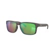 Ochelari OAKLEY Holbrook Woodgrain w/ PRIZMShlwH2OPol