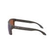 Ochelari OAKLEY Holbrook Woodgrain w/ PRIZMShlwH2OPol thumb