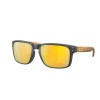 Ochelari OAKLEY Holbrook Matte Carbon w/Prizm 24K Plr