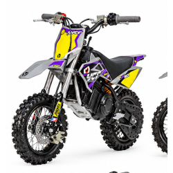 Motocicletă electrică YCF 50E STD
