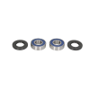 Set rulment roată ALL BALLS 25-1678