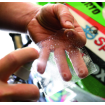 Protector folie R&G RACING R&G RACING Second Skin - Transparent Ducati Desert X thumb