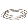 Segmente WOSSNER RING SET 950ADS-2