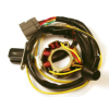 Stator și bobină pentru KAWASAKI KX250F(2004-2008) SUZUKI RM-Z250 (2005-2006)