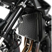 Protecție pentru radiator R&G RACING Pro Radiator Guards KAWASAKI Z900 25-26 Protecție pentru radiator R&G RACING Pro Radiator Guards KAWASAKI Z900 25-26 thumb