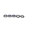 Set rulment roată 25-1111 Set rulment roată 25-1111 thumb