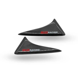 Protecții pentru coadă R&G RACING Rear Shell Sliders Carbon BMW M1000R/RR 23-24