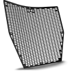 Protector radiator R&G RACING Pro Radiator Guard - Negru Ducati Panigale V4 18-22 Protector radiator R&G RACING Pro Radiator Guard - Negru Ducati Panigale V4 18-22 thumb