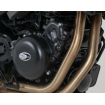 Protector pentru motor R&G RACING BMW F800 Protecție carcasă motor dreapta ST 06-12/GS 08-16/GT/R 09-17 Protector pentru motor R&G RACING BMW F800 Protecție carcasă motor dreapta ST 06-12/GS 08-16/GT/R 09-17 thumb