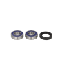Set rulment roată 25-1051