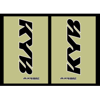 ABTIBILE PENTRU CULISE KYB BLACKBIRD RACING