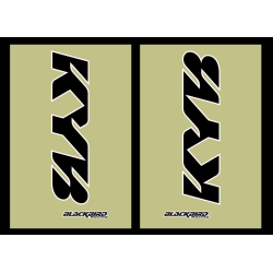 ABTIBILE PENTRU CULISE KYB BLACKBIRD RACING ABTIBILE PENTRU CULISE KYB BLACKBIRD RACING