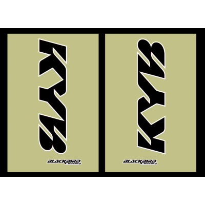 ABTIBILE PENTRU CULISE KYB BLACKBIRD RACING