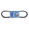 Curea de transmisie standard POLINI