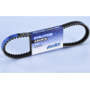 POLINI Curea în formă de V 810 x 19,5 mm Polini K-BELT